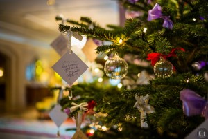 Christmas Ornament