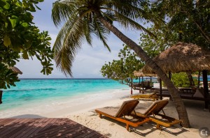 Paradise