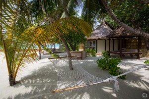 The Hammock