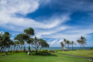 The Landscape