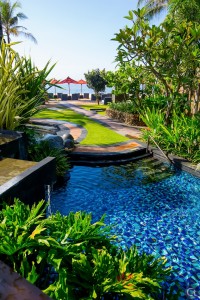 The Pool
