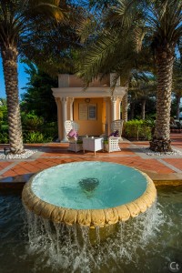 Water Feature
