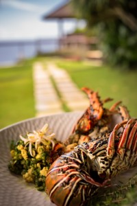 Best Lobster Ever