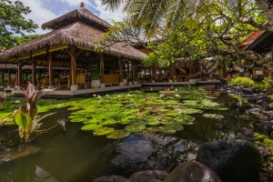 Serenity at Grand Club Lounge