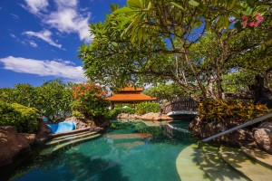 Shady Pool