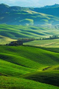 Siena
