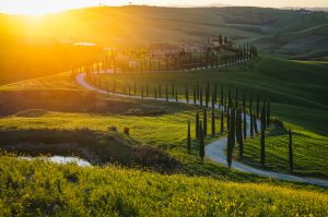 Tuscany