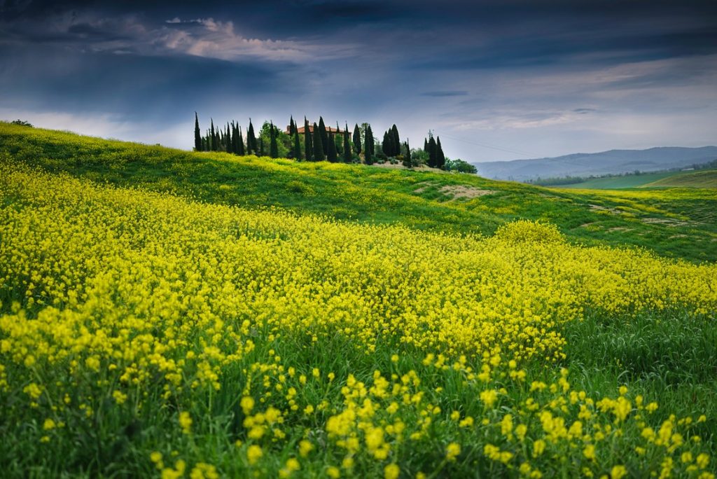 Tuscany
