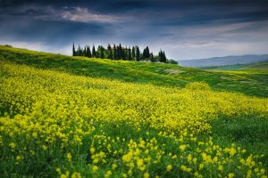 Tuscany