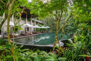 Ubud at its best